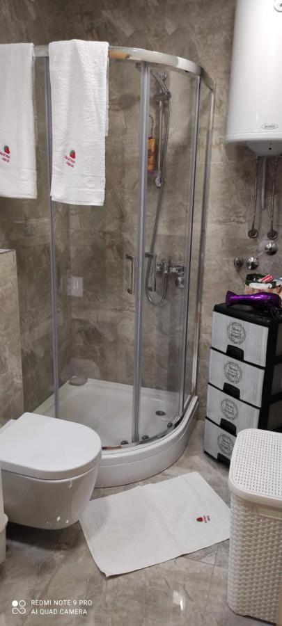 Zlatibor Apartman Jagoda Экстерьер фото