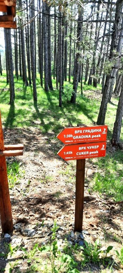 Zlatibor Apartman Jagoda Экстерьер фото